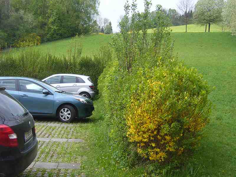 Parkplatz vorher